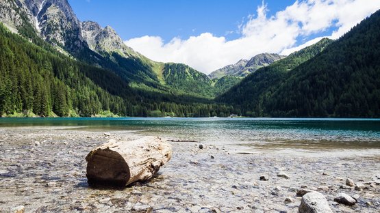 Der Naturpark Rieserferner-Ahrn Klarer Bergsee mit Holzstamm und Steinen im Vordergrund, umgeben von bewaldeten Bergen