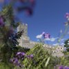 Divertimento in bici Castello di pietra con torre tra alberi verdi e fiori viola sotto cielo azzurro