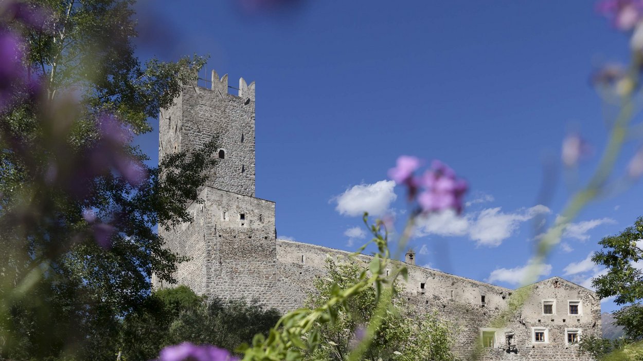 Hotels Vinschgau: Wandern und Skifahren in Südtirol Steinerne Burg mit Turm hinter grünen Bäumen und lila Blumen bei blauem Himmel