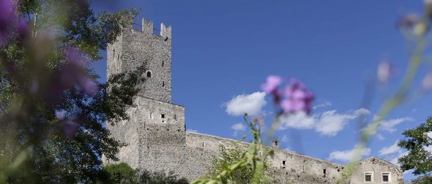 Hotel in Alto Adige 😎☀️ Per vacanze indimenticabili Castello di pietra con torre tra alberi verdi e fiori viola sotto cielo azzurro