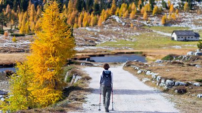 Parco naturale Sciliar-Catinaccio Escursionista con bastoncini su sentiero autunnale con alberi e montagna