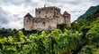 Un castello altoatesino Castello medievale dietro vigneti verdi e cielo nuvoloso