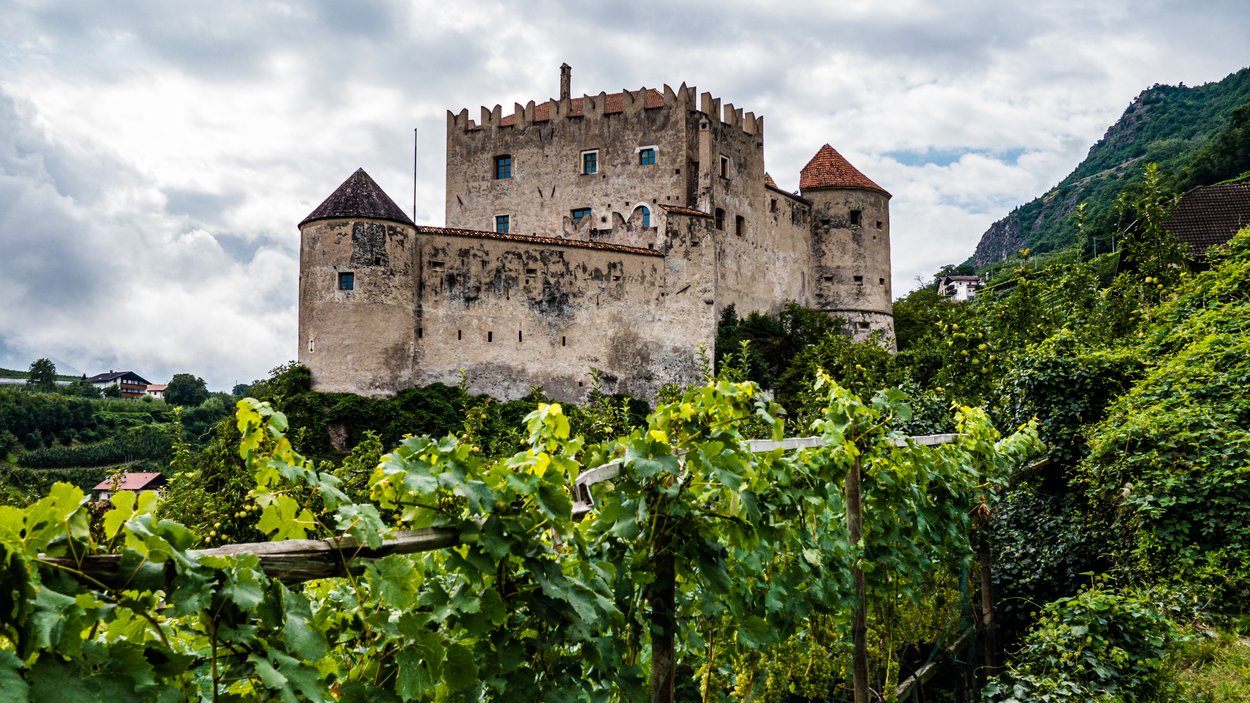 Eine Südtiroler Burg Mittelalterliche Burg hinter grünen Weinreben und bewölktem Himmel