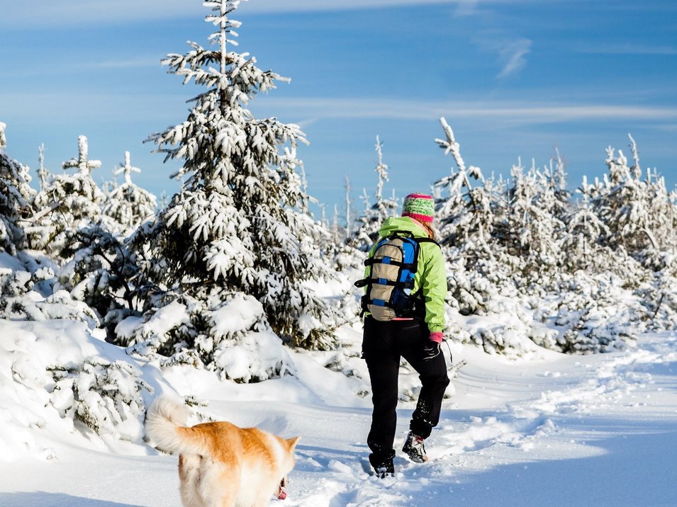 Hundehotels Südtirol – hundefreundlich Urlaub genießen Hundehotels Südtirol – hundefreundlich Urlaub genießen
