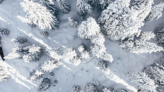 Schmieder - valle Köser Foresta innevata vista dall'alto con alberi coperti di neve e ombre