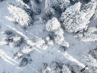 Ciaspolata Col di Poma Foresta innevata vista dall'alto con alberi coperti di neve e ombre
