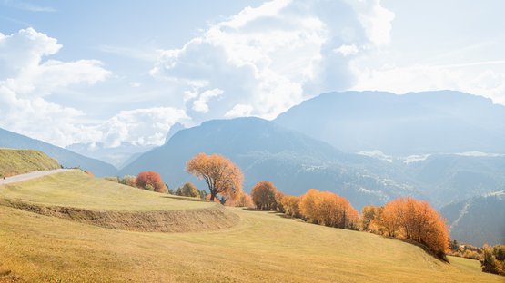 Etimologia del termine Törggelen Paesaggio autunnale con alberi arancioni e montagne sullo sfondo