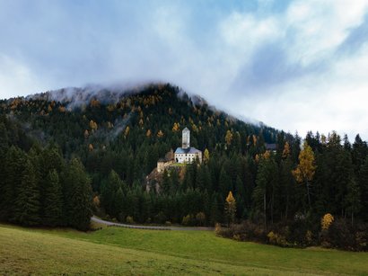 Hotel a Plan de Corones Castello su collina boschiva con nebbia e prato verde in primo piano