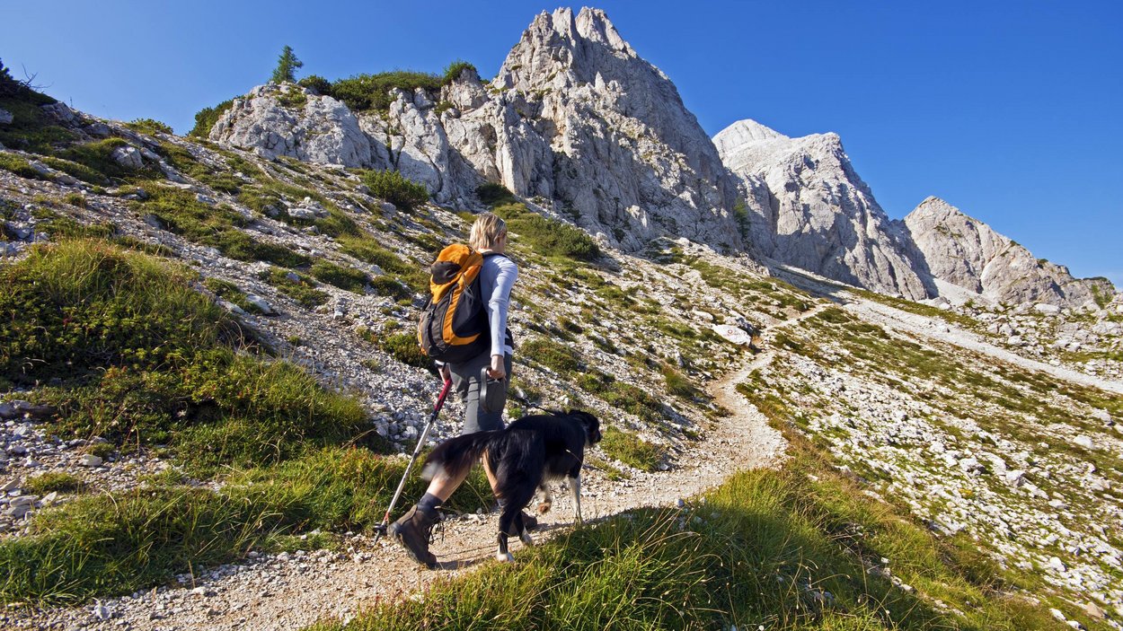 Hundehotels in Südtirol – hundefreundlicher Urlaub Wanderer mit Hund auf Bergpfad unter blauem Himmel