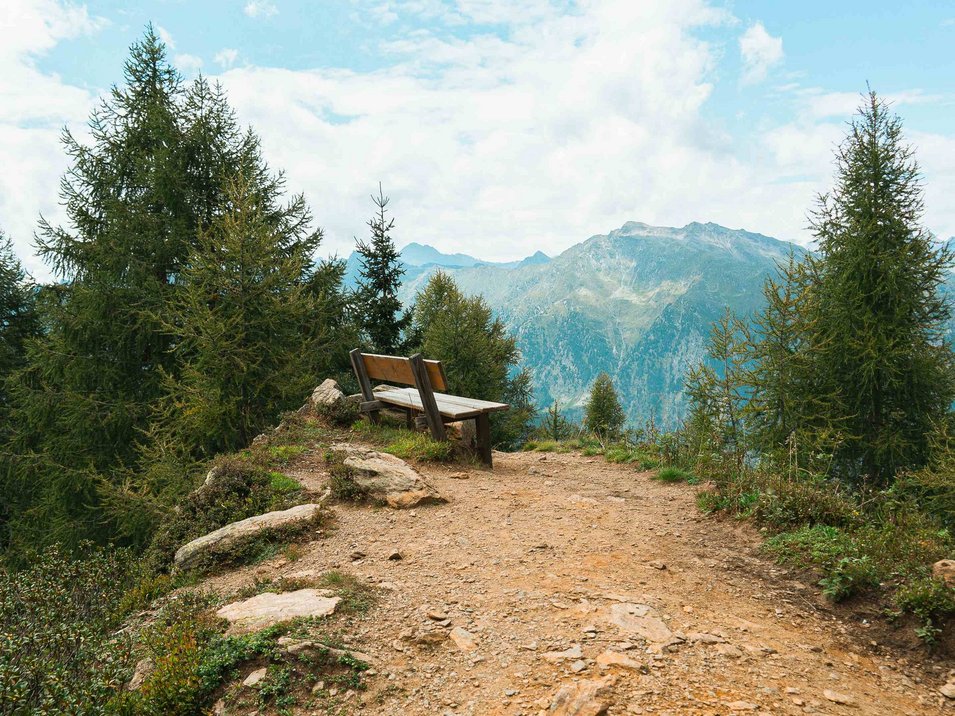 Punta Cervina: la cima più alta delle Alpi Sarentine Panchina su sentiero escursionistico con vista su montagne e abeti