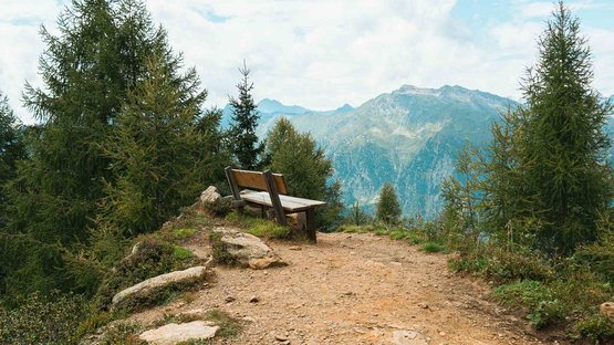 Der Hirzer: höchster Gipfel der Sarntaler Alpen Bank auf einem Wanderweg mit Blick auf Berge und Tannenbäume