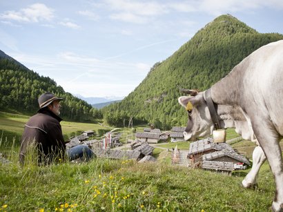 Villanderer Alm im Eisacktal Mann sitzt auf einer Wiese mit Kuh in den Bergen über einem Dorf
