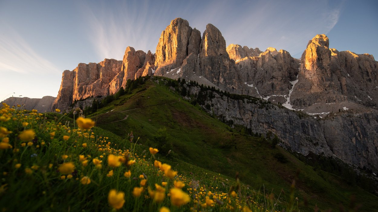 Hotels in Gröden in den Dolomiten! Sonnenbeleuchtete Dolomiten mit grüner Wiese und gelben Blumen im Vordergrund