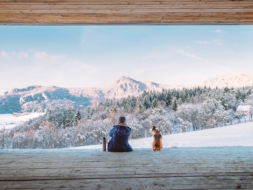 Hotel in Alto Adige 😎☀️ Per vacanze indimenticabili Persona e cane seduti di fronte a paesaggio montano innevato in inverno