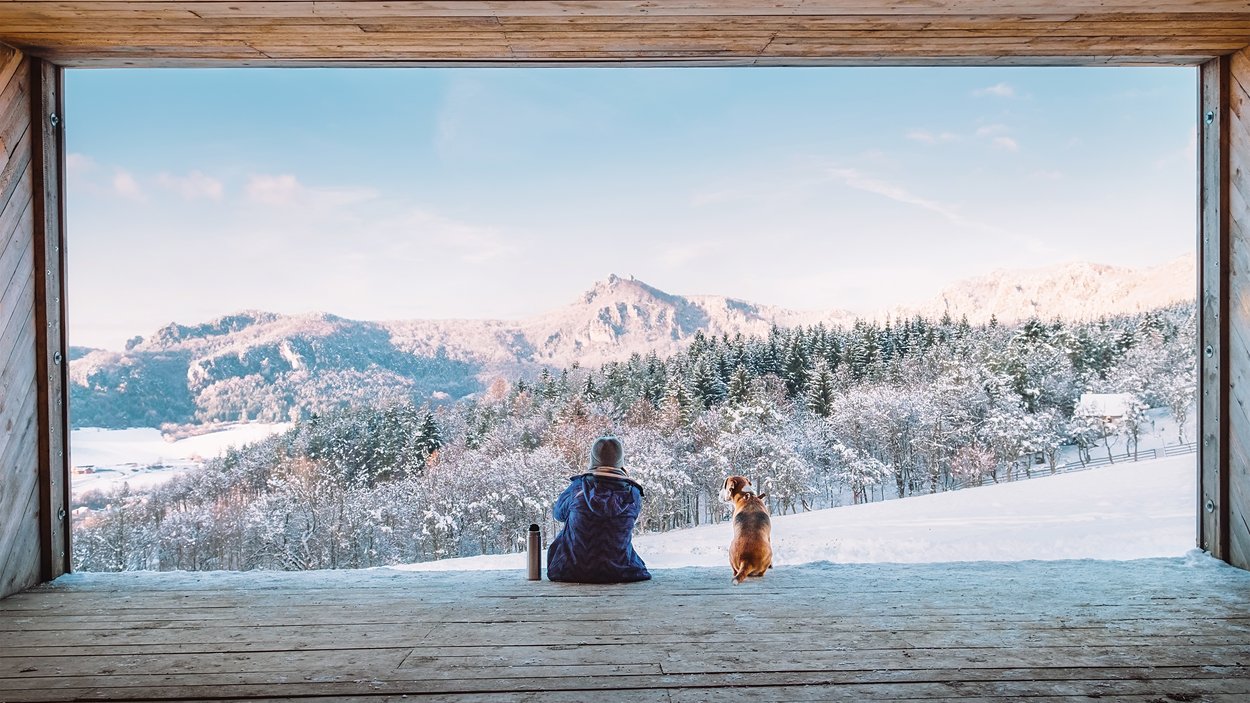 Attrazioni in Alto Adige Persona e cane seduti di fronte a paesaggio montano innevato in inverno