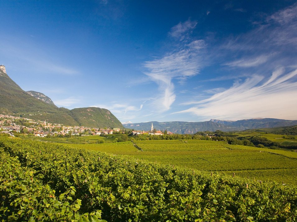 Hotel sul Lago di Caldaro Vigneti con panorama montano e villaggio sotto cielo azzurro
