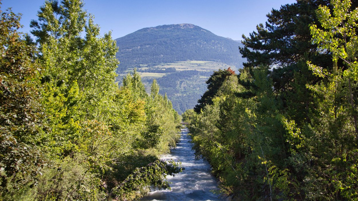 Attorno all’Adige, tour in moto in Alto Adige Fiume che scorre tra alberi verdi con montagna sullo sfondo sotto cielo limpido