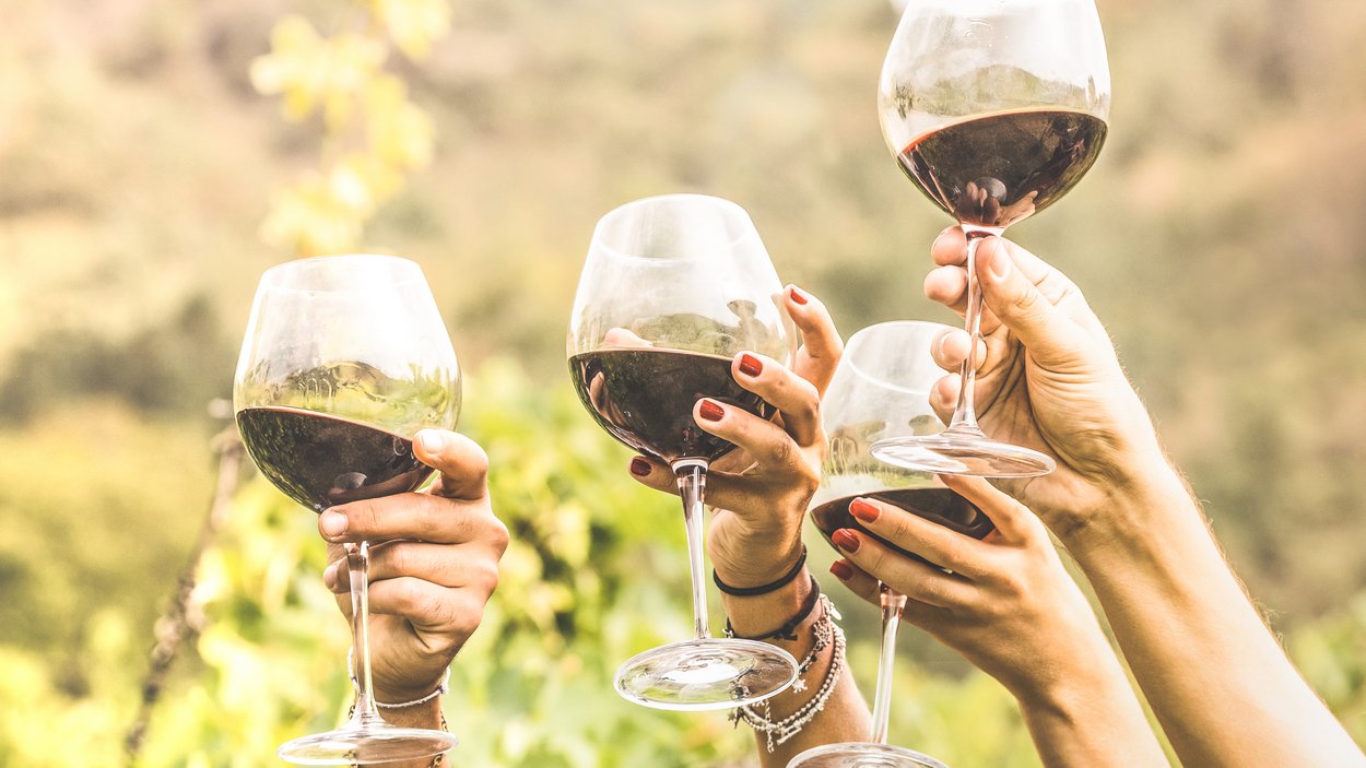 Gaumenfreuden und neuer Wein Menschen stoßen mit Rotweingläsern draußen an