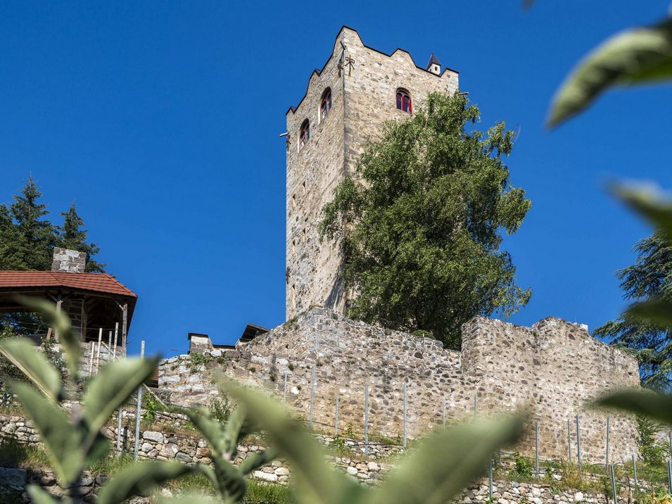 Zwingenburg in Prissian Historischer Steinturm mit roten Fenstern bei klarem Himmel