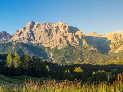 Hotels in den Dolomiten in Südtirol Sonnige Berglandschaft mit Wiesen und Nadelbäumen unter klarem Himmel