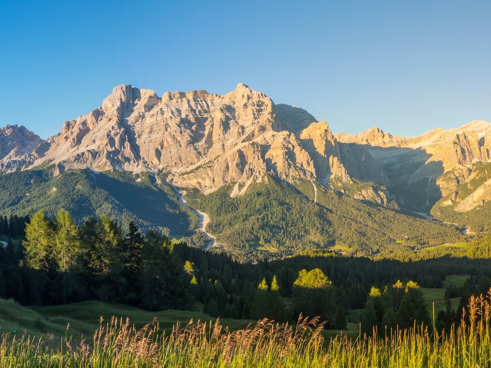 Hotel a La Villa in Val Badia Paesaggio montano soleggiato con prati e pini sotto un cielo limpido