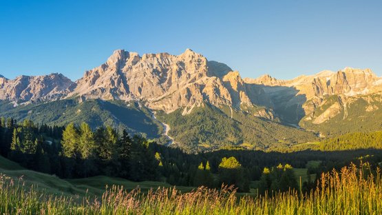 Hotels in Stern in Südtirol mit Erlebnisgarantie Sonnige Berglandschaft mit Wiesen und Nadelbäumen unter klarem Himmel