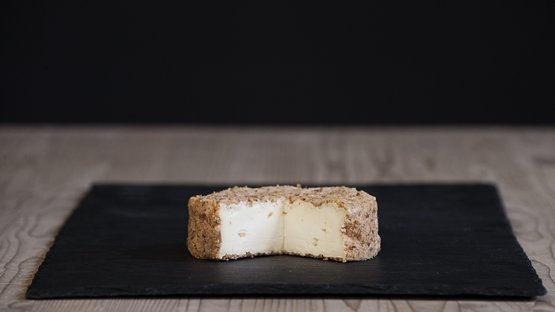 Capriz Erlebniskäserei Halber Weichkäse mit brauner Rinde auf schwarzer Platte