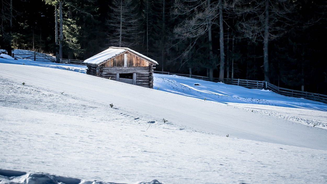 Anterselva: un paradiso per famiglie Piccola baita di legno su collina innevata davanti a bosco scuro