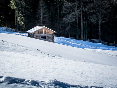 Das Skigebiet Kronplatz im Herzen der Dolomiten Kleine Holzhütte auf schneebedecktem Hügel vor dunklem Wald