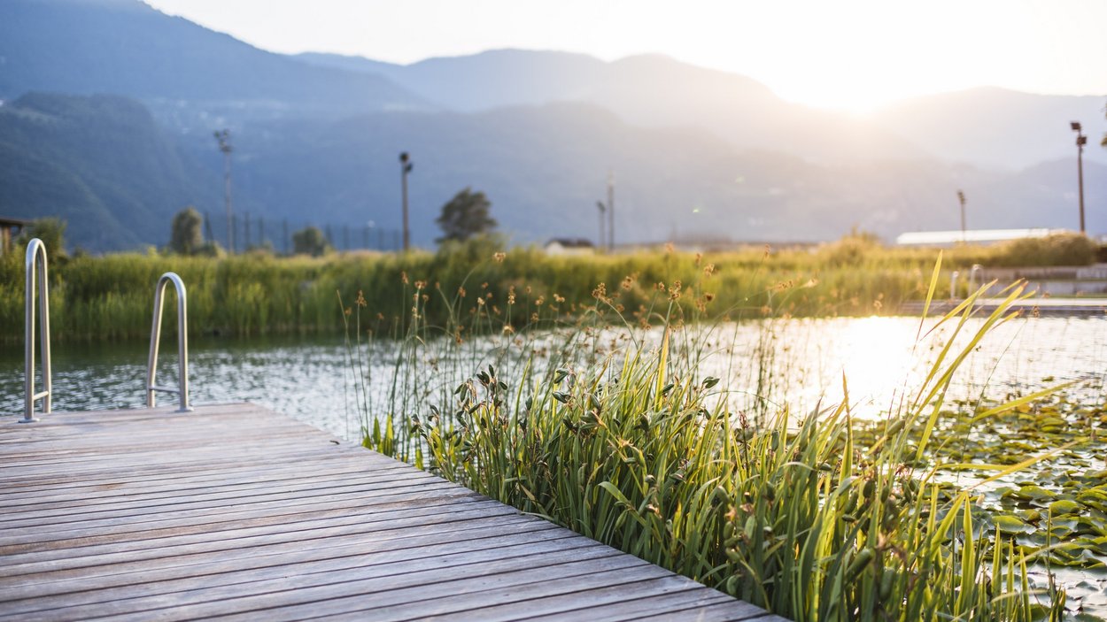 Das Naturbad Gargazon Holzsteg am See mit Schilf und Bergen im Hintergrund bei Sonnenuntergang