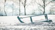 Pista da slittino Malga Geisler Slitta blu nella neve davanti ad alberi spogli sfocati