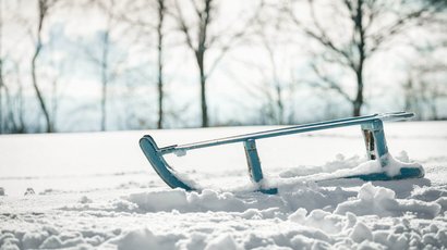 Merano 2000 Slitta blu nella neve davanti ad alberi spogli sfocati