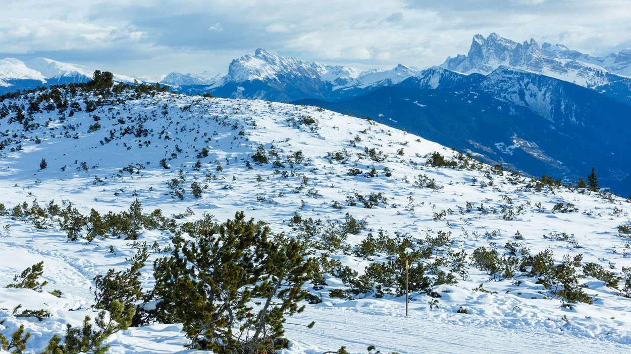 Das Rittner Christbahnl Verschneite Berglandschaft mit Sträuchern und bewölktem Himmel