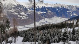 Ihre Hotels in Meran in Südtirol: Hotels im Meraner Land Verschneiter Wald vor Bergpanorama mit schneebedeckten Gipfeln
