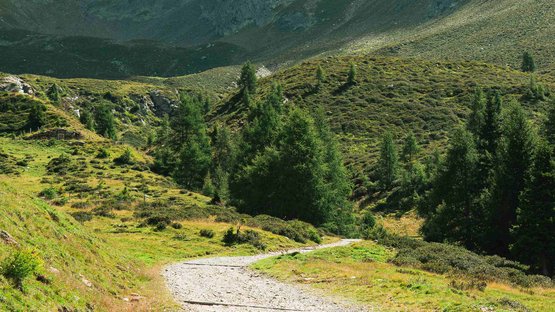 Escursioni in Alto Adige: un sogno dipinto di verde Sentiero ghiaioso attraversa colline verdi verso montagna rocciosa sotto cielo blu