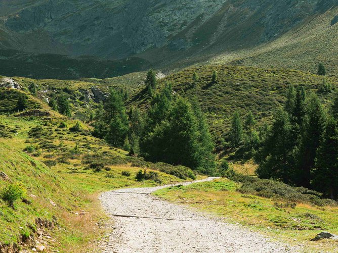 Wandergebiete in Südtirol: ein Traum in sattem Grün Schotterweg führt durch grüne Hügel zu felsigem Berg unter blauem Himmel
