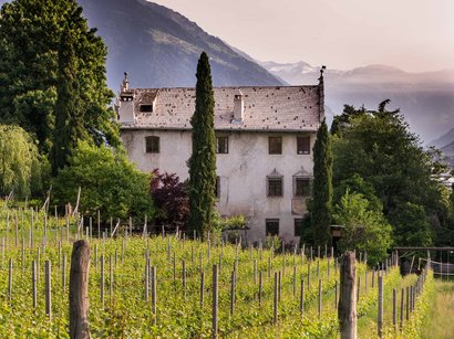 Hotel a San Martino in Passiria Vigneto davanti a una casa antica con montagne sullo sfondo