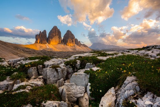 Trentino-Südtirol entdecken Dreizackförmige Bergspitzen der Dolomiten bei Sonnenuntergang mit Felsen und Blumen im Vordergrund