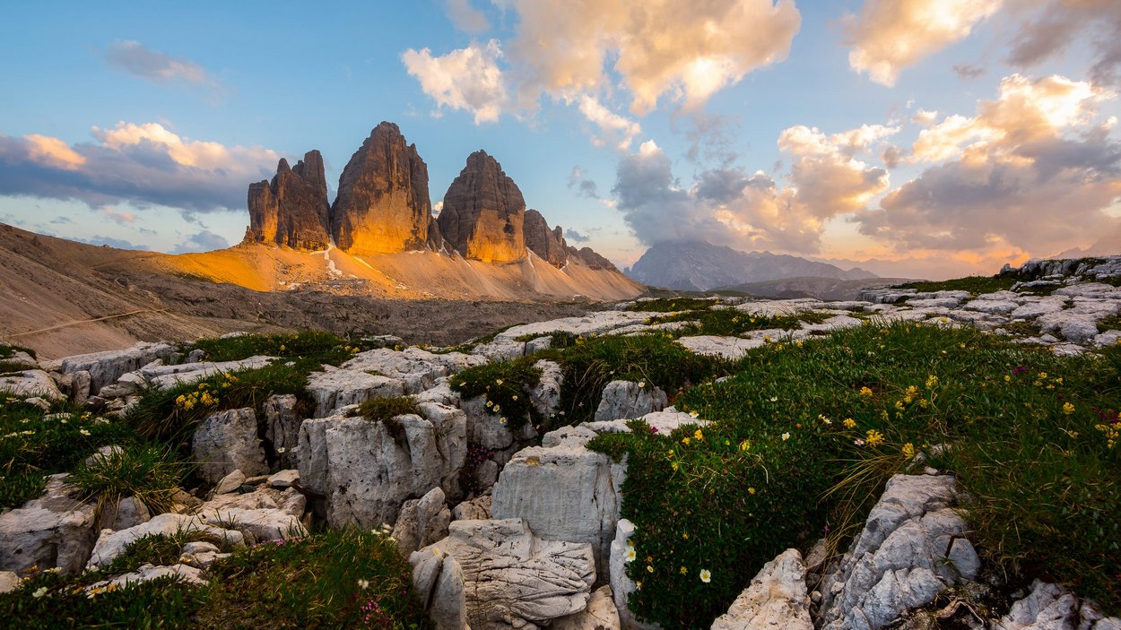 Die Drei Zinnen – eine Kulisse, die begeistert Dreizackförmige Bergspitzen der Dolomiten bei Sonnenuntergang mit Felsen und Blumen im Vordergrund