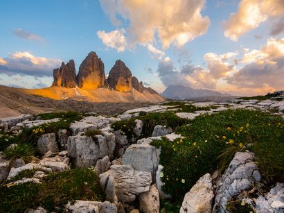 Il regno di Re Laurino Cime a trifoglio delle Dolomiti al tramonto con rocce e fiori in primo piano