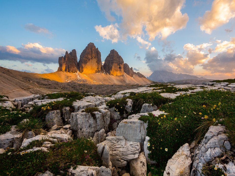 Die Hotels in Innichen haben viel zu bieten Dreizackförmige Bergspitzen der Dolomiten bei Sonnenuntergang mit Felsen und Blumen im Vordergrund