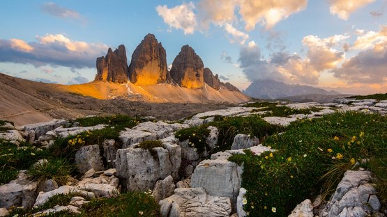 Hotel a San Candido in Alto Adige Cime a trifoglio delle Dolomiti al tramonto con rocce e fiori in primo piano