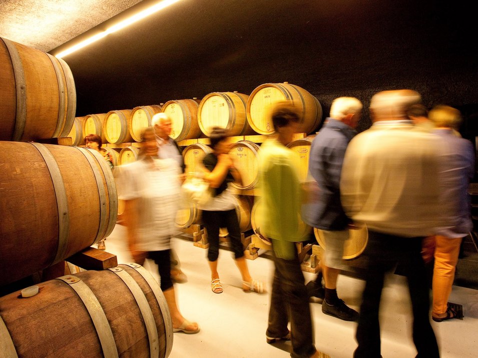 Tra vette e vigneti Tra vette e vigneti