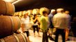 Tra vette e vigneti Visitatori in una cantina con botti di legno lungo le pareti