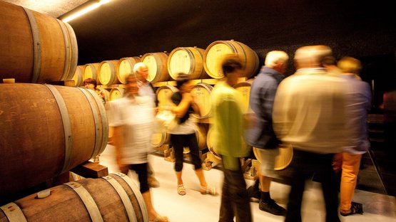 Tra vette e vigneti Visitatori in una cantina con botti di legno lungo le pareti
