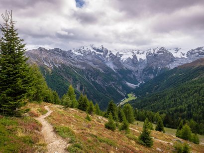Via ferrata Tabaretta in Alto Adige Sentiero con abeti e montagne innevate sotto cielo nuvoloso