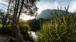 Die schönsten Seen in Südtirol Sonnenuntergang am See mit Bäumen, Berg und hohem Gras im Vordergrund