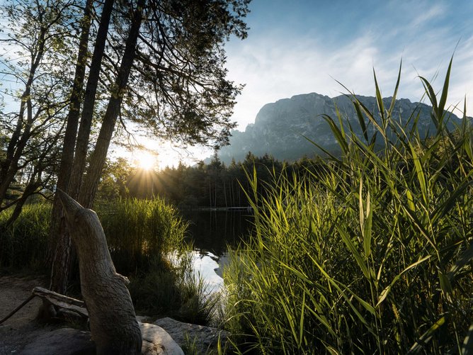 Die schönsten Seen in Südtirol Sonnenuntergang am See mit Bäumen, Berg und hohem Gras im Vordergrund