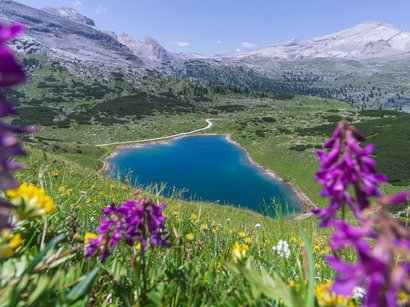 Der Pragser Wildsee im Hochpustertal in Südtirol Bergsee umgeben von Blumenwiese und Bergen bei klarem Himmel