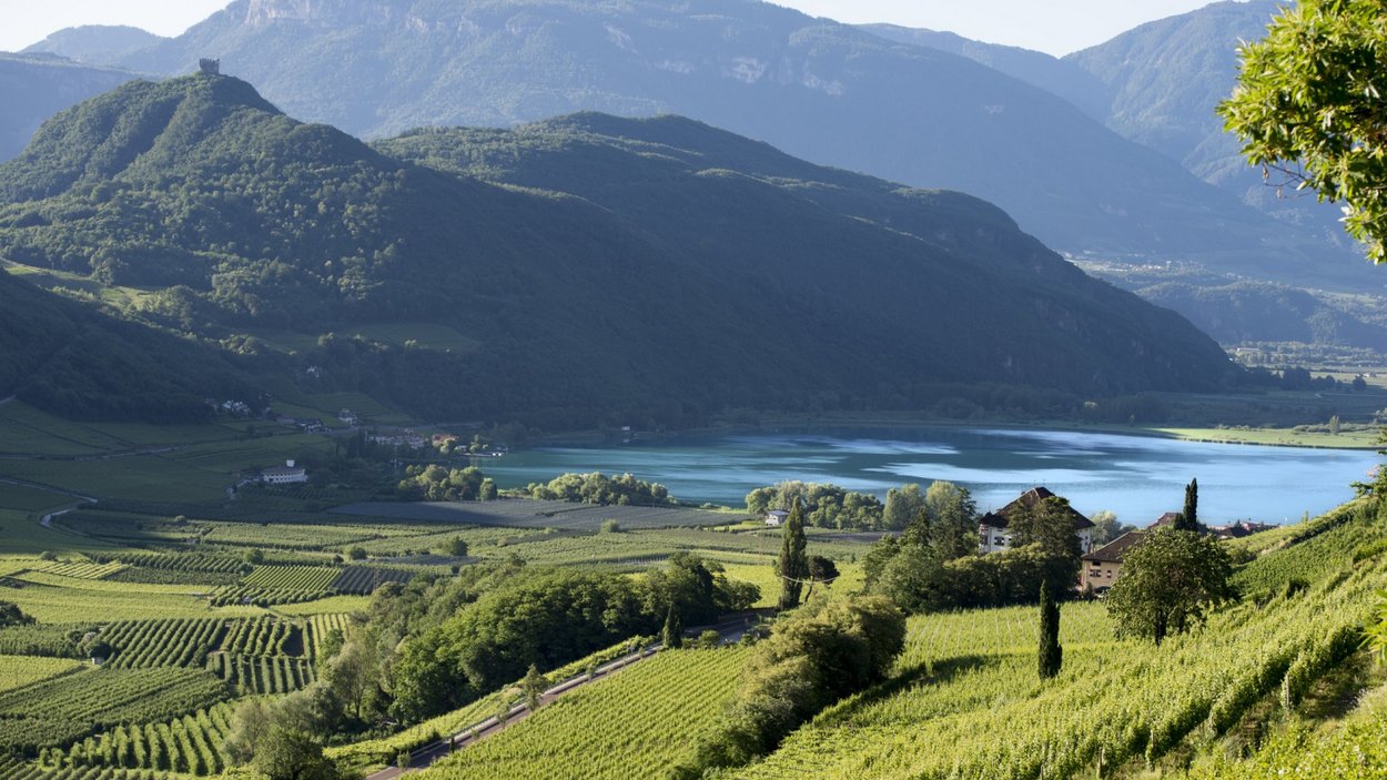 Lago di Caldaro sulla Strada del vino dell’Alto Adige Vista di vigneti, lago e montagne con cielo sereno
